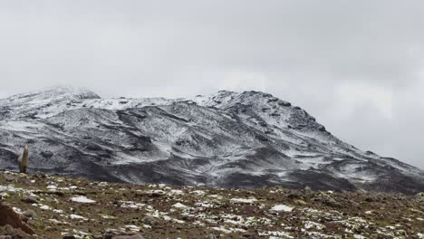 Schneebedeckter-Berg,-Pampas-Galeras,-Peru