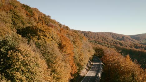 Aerial-slow-reveal-footage-of-a-car-and-a-cyclist-on-a-scenic-road-in-an-autumn-coloured-forest-in-a-picturesque-countryside