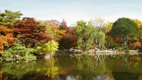 Stony-shore-and-Autumn-foilage-of-Chundangji-pond-in-Changgyeonggung-Palace-with-unrecognizable-people-walking-in-a-park,-South-Korea