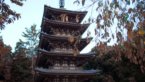 Tall-temple-surrounded-by-trees-in-the-autumn-season-in-Kyoto,-Japan-soft-lighting
