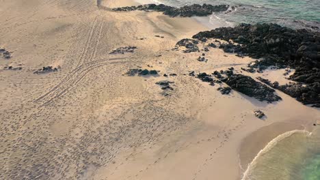 Luftaufnahme-über-Einem-Sandstrand,-Der-Mit-Reifenspuren-Und-Fußspuren-Bedeckt-Ist