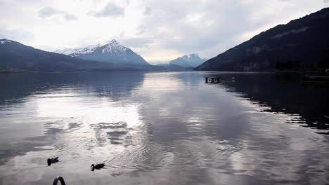 Reflejos-De-La-Puesta-De-Sol-En-El-Hermoso-Lago,-Suiza,-Reserva-Natural-De-Weissenau