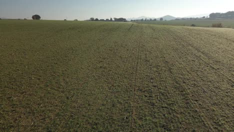 Aerial-video-of-a-newly-seeded-field-with-a-dirt-road-in-the-middle-and-mountains-in-the-background-green-Llagostera-Gerona-cultivated-field