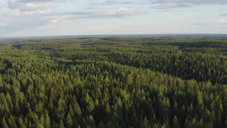 Vast-endless-green-taiga-boreal-wilderness-filmed-from-a-drone