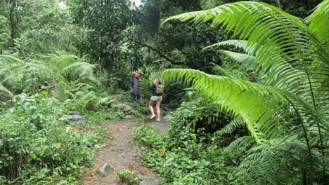 Group-of-female-young-tourists-are-on-holiday-with-school-students-and-hiking-through-nature-in-Tanzania-jungle-rainforest-hike-following-local-guide-with-backpacks-25-fps