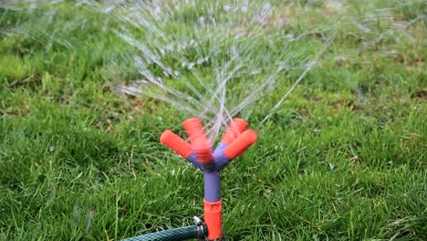 Lawn irrigation system working in a green park. Spraying the lawn