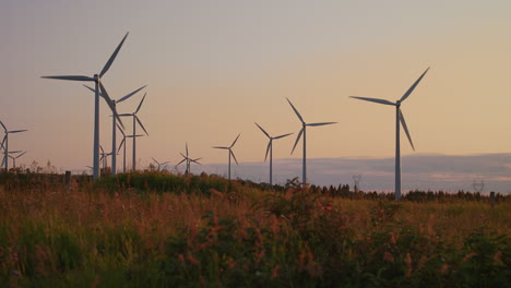 Wind-turbines-farm-producing-green-energy,-wide-shot-static