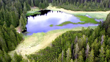 Aerial-shot-of-Black-Lake-surrounded-by-pine-trees-forest-in-Pohorje-mountains,-Slovenia