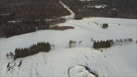 Luftüberführung-Eines-Schneebedeckten-Golfplatzes,-Umgeben-Von-Einem-Wald-Bei-Sonnenaufgang