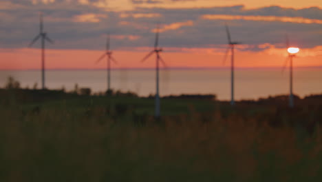 Rack-Fokus-Vom-Haferfeld-Bis-Zum-Windkraftpark,-Der-Grüne-Energie-Produziert