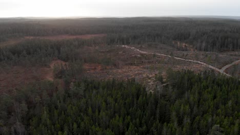 Aerial-Establishing-Deforestation-Environmental-Impact-Of-Timber-Exploitation