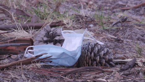 A-discarded-used-face-mask-falling-onto-the-ground-in-front-of-pine-cones-in-the-bush