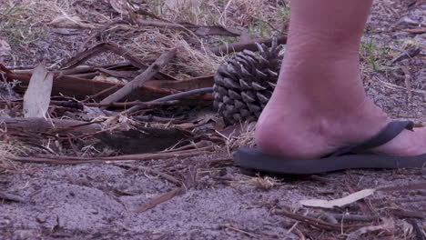 A-person-walking-past-two-pine-cones-laying-in-the-dirt-with-flip-flops,-thongs