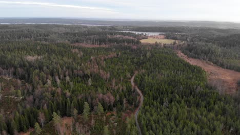 Wide-Aerial-Establisher-Dolly-In-Over-Pine-Agroforestry-Wetland-Exploitation