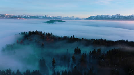 Thick-Winter-Fog-At-Sunset-Over-The-Lutry-Wood-With-Snowy-Alps-In-Background-In-Vaud,-Switzerland