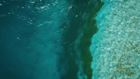 Drone-footage-flying-over-a-clear-Caribbean-sea,-in-Los-Roques,-Venezuela