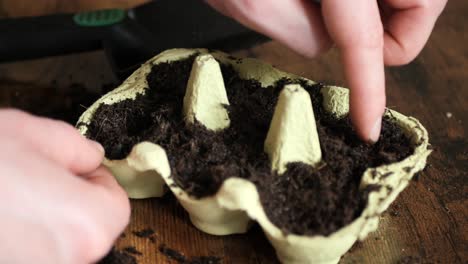 Man-Planting-Chili-Seeds-in-Egg-Cartons-Making-Holes-in-the-Soil-Close-Up