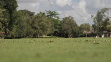 Low-angle-close-up-shot-at-the-golf-club,-hitting-a-golf-ball-across-a-golf-course