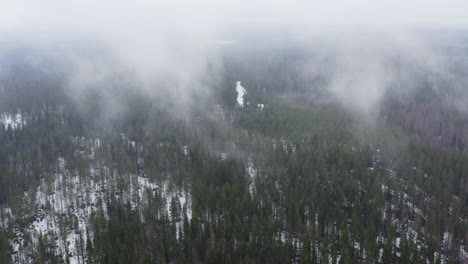 Aerial-drone-view-of-foggy-and-snowy-boreal-taiga-forest