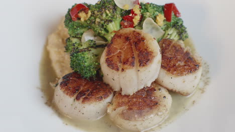 Mouthwatering-scallop-medallions-in-sauce,-with-a-side-of-polenta,-and-topped-with-broccoli,-in-a-rotating-shot