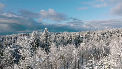 Winter-Scene-With-Snowy-Trees-Against-Cloudy-Sky-In-Jorat,-Vaud,-Switzerland---aerial-drone-shot