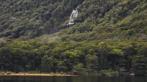 Bosque-Lluvioso-Denso-Con-Tiro-Ancho-De-Cascada