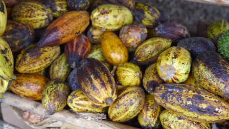 Kakaostapel-Im-Lebensmittelgeschäft-Auf-Dem-Tropischen-Marktplatz-Im-Freien,-Halbinsel-Samana,-Dominikanische-Republik