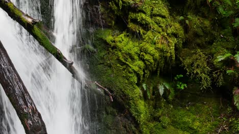 Medium-Jib-Shot-of-Moss-Covered-Waterfall-flowing-onto-logs