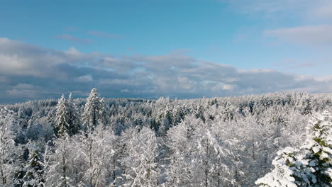 Snow-covered-Coniferous-Forest-During-Winter-In-Jorat,-Lausanne,-Vaud,-Switzerland---aerial-drone-shot