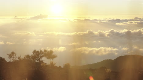 Glückseligkeit-Beim-Betrachten-Der-Paradiesischen-Landschaft-Im-Teide-Nationalpark-Spanien