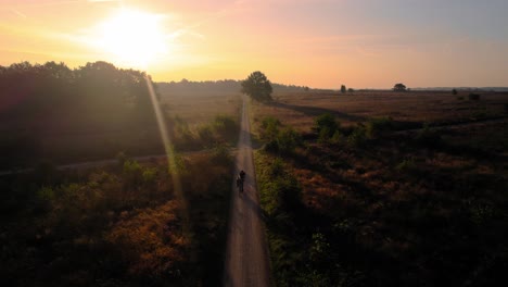 Antenne-über-Goldenem-Orangefarbenem-Sonnenuntergang-De-Hoge-Veluwe-Nationalpark-Mit-Silhouette-Von-Vorbeifahrenden-Radfahrern