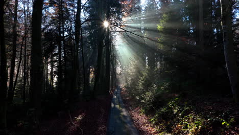 Sonnenstrahlen-Durch-Bäume-An-Einem-Nebligen-Sonnigen-Tag-Im-Wald-Von-La-Goille-In-Der-Nähe-Des-Dorfes-Savigny-Im-Waadtland,-Schweiz