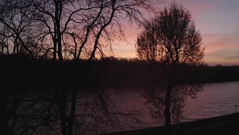 Luftdrohne-Fliegt-Durch-Silhouettenbäume-Mit-Amsterdamer-Rheinkanal-Während-Des-Goldgelben-Orangefarbenen-Sonnenuntergangs-Im-Hintergrund