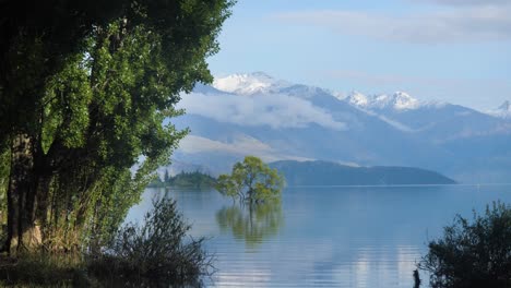 Ese-árbol-Wanaka-Inundado-En-El-Lago-Wanaka-Con-Montañas-Al-Fondo-En-Verano-En-La-Isla-Sur-De-Nueva-Zelanda