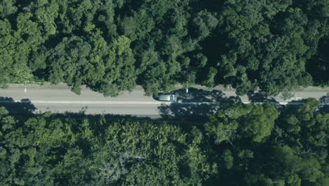 Aerial-view-of-cars-on-a-country-road-in-green-forest