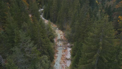 Man-standing-on-small-bridge-crossing-Triglavska-Bistrica-river-in-evergreen-forest,-aerial
