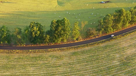 Rural-road-landscape