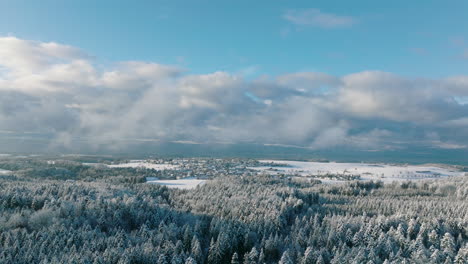 Snowy-Pine-Forest-With-Froideville-Village-In-Background-In-Switzerland---aerial-drone-shot