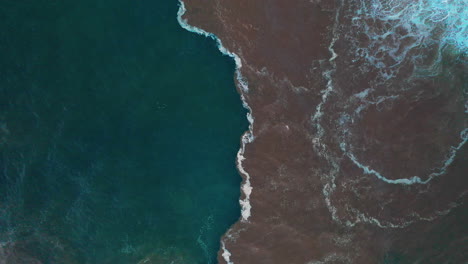 Die-Schöne-Ozeanlinie-In-Oahu,-Hawaii,-Wo-Sich-Flusswasser-Mit-Dem-Ozean-Vermischt---Draufsicht