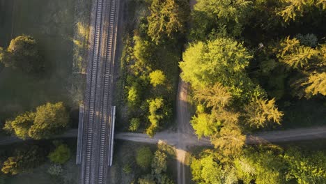 Top-down-view-of-the-railway-line-and-footpath-through-the-forest