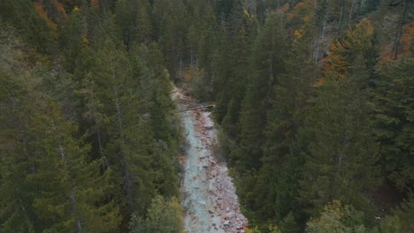 Mann-Steht-Auf-Idyllischer-Brücke-Im-Immergrünen-Wald-In-Slowenien,-Antenne