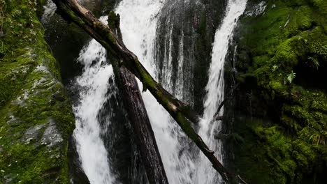 Fockschuss-Nach-Wasserfall-Auf-Baumstämme-Mit-Moosigem-Hintergrund