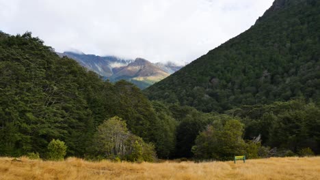 Neuseeland-Wanderweganfang-Wald-Und-Berge
