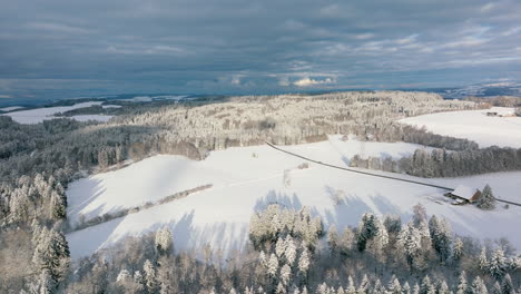Verschneiter-Wald-Und-Lichtung-Am-Sonnigen-Wintertag-Im-Jorat-Wald-In-Der-Nähe-Von-Lausanne,-Waadt,-Schweiz