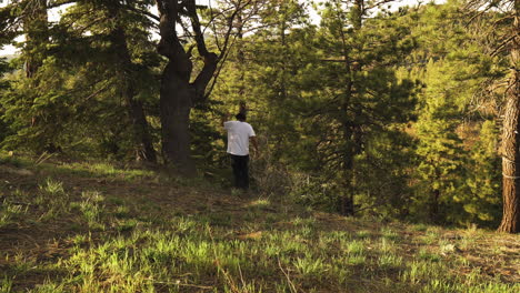 Man-walks-through-trees-in-sunny-forest,-medium-shot
