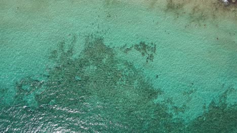 Aerial-view-of-the-calm-turquoise-ocean-and-crowded-beach-on-a-clear-sunny-day-in-4K-flying-over-tropical-crystal-clear-waters