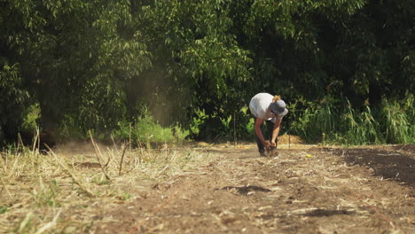 Static-shot-of-male-farmer-are-cleaning-the-land-before-cucumber-harvesting,tilling-and-composting-on-the-field-at-daytime
