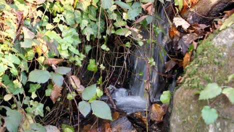 Wasserfall-Fließt-Rückwärts-In-Einem-österreichischen-Wald