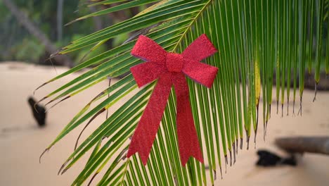 Red-bow-hanging-on-a-green-palm-tree-at-tropical-sandy-beach