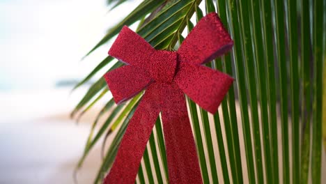 Red-bow-hanging-on-a-green-palm-tree-at-tropical-sandy-beach